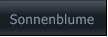 Sonnenblume Sonnenblume