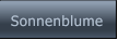 Sonnenblume Sonnenblume